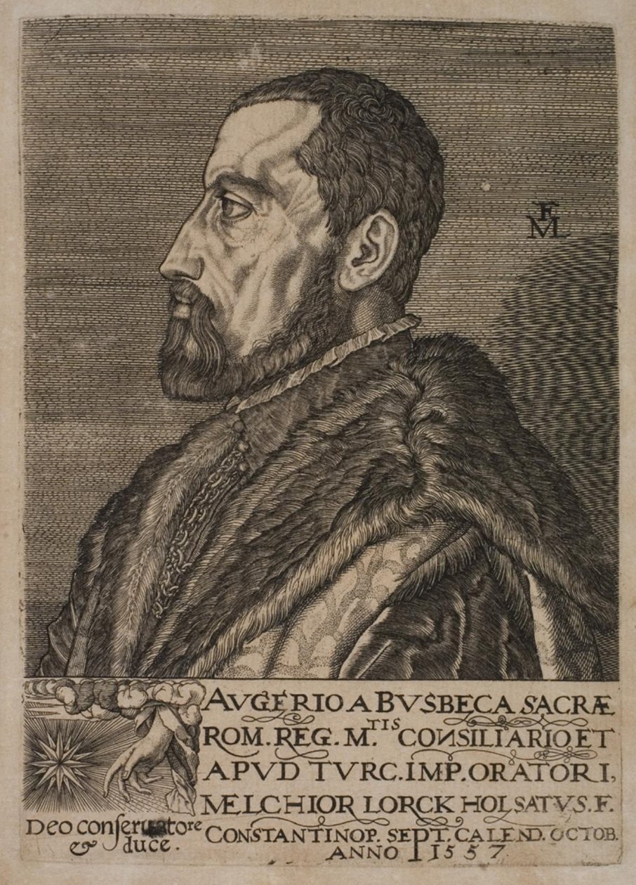 帝国特使 Ogier Ghiselin de Busbecq 的肖像。 作者 梅尔基奥尔（Melchior Lorck）