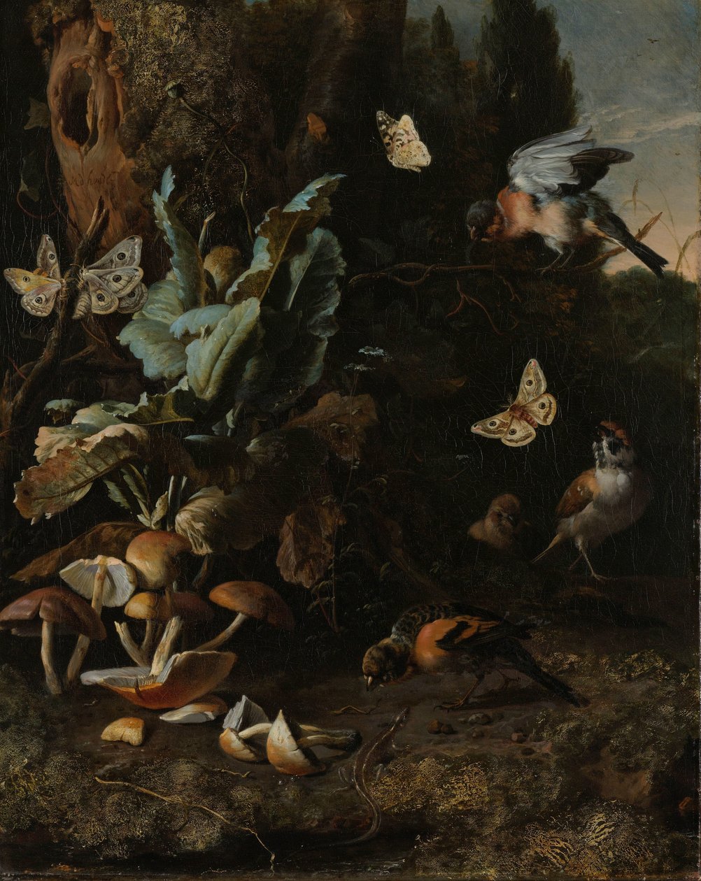 动物和植物 作者 Melchior d'Hondecoeter