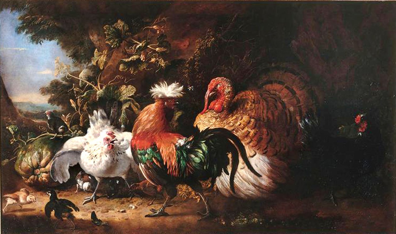 法语: Oiseaux de basse-cour 作者 Melchior d'Hondecoeter