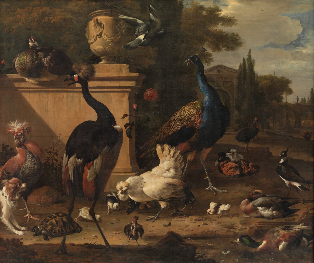 庄园里的母鸡赛跑 作者 Melchior d'Hondecoeter