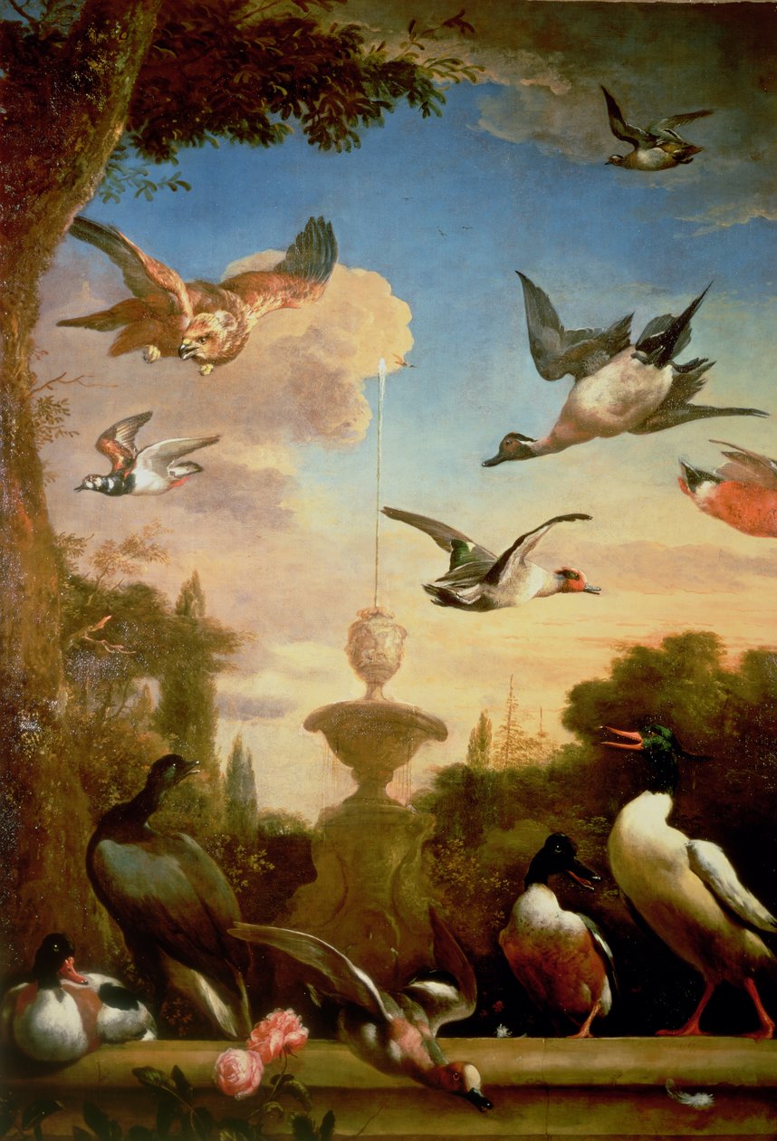 野鸭和金鹰在古典园林景观 作者 Melchior de Hondecoeter