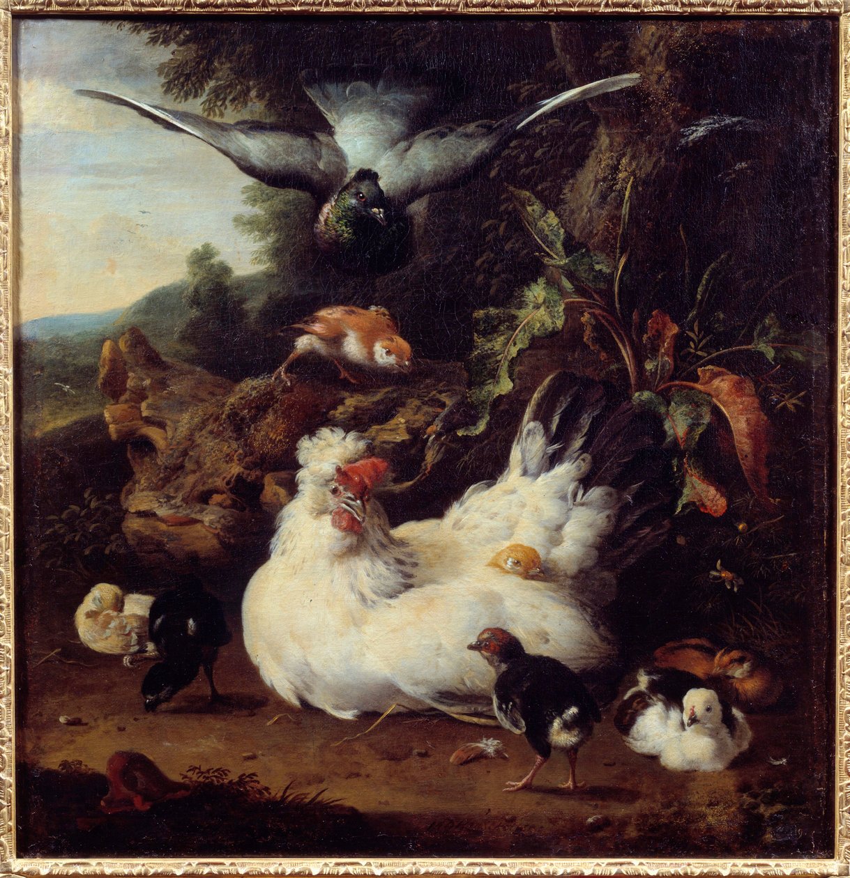 一只母鸡和她的小鸡 Melchior Hondecoeter (1636-1695) 绘画，17 世纪卡昂，美术博物馆 作者 Melchior de Hondecoeter