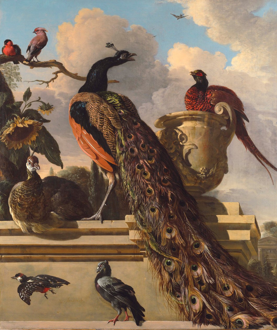 公园里的鸟 作者 Melchior de Hondecoeter