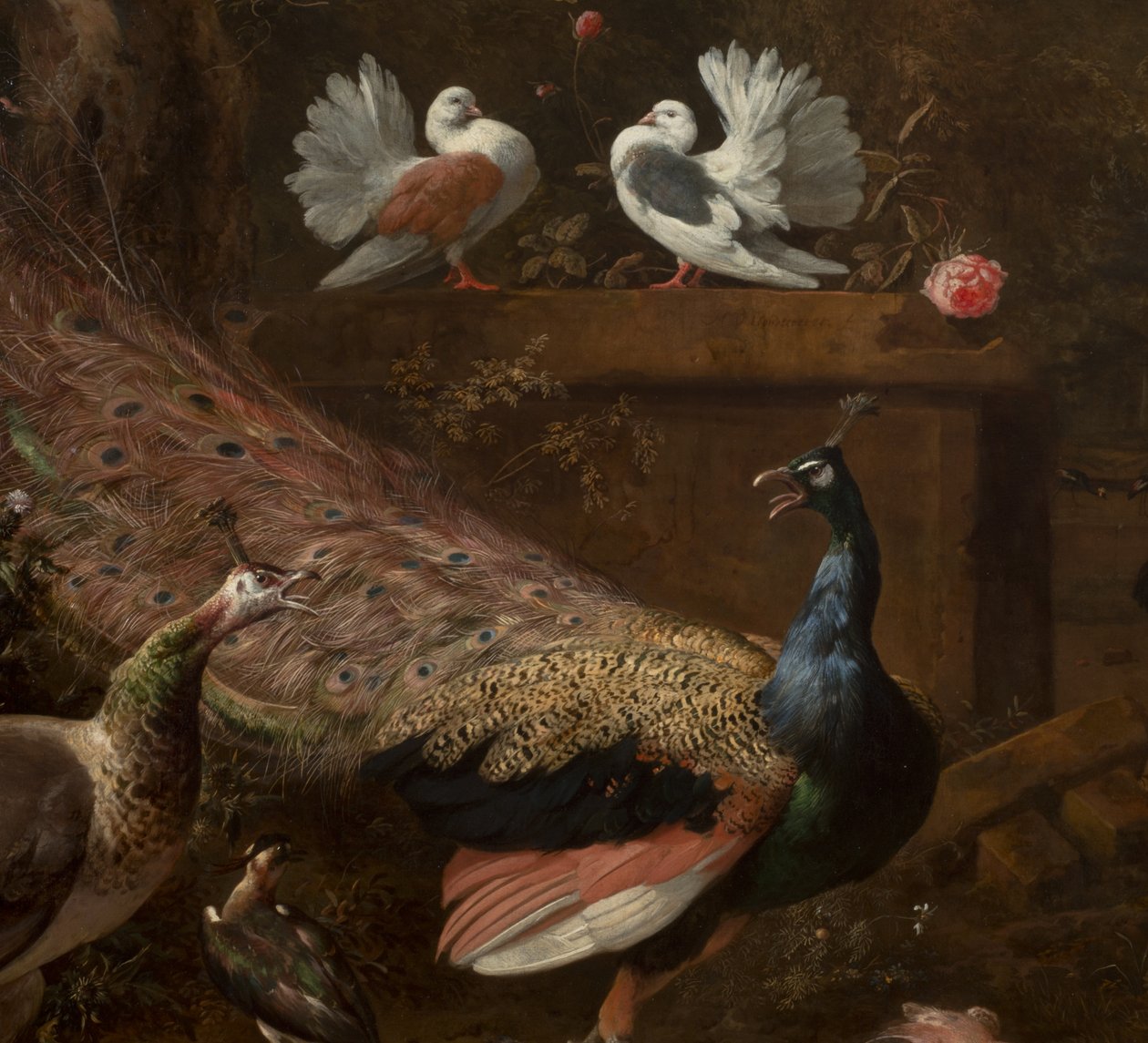 Menagerie的详细资料，约1680年 作者 Melchior de Hondecoeter