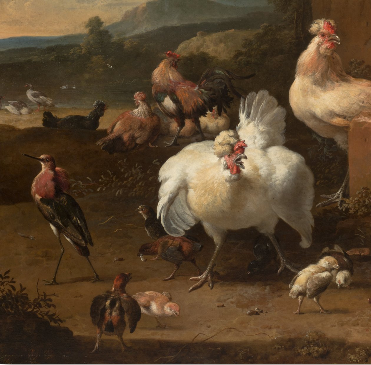 Menagerie的详细资料，约1680年 作者 Melchior de Hondecoeter