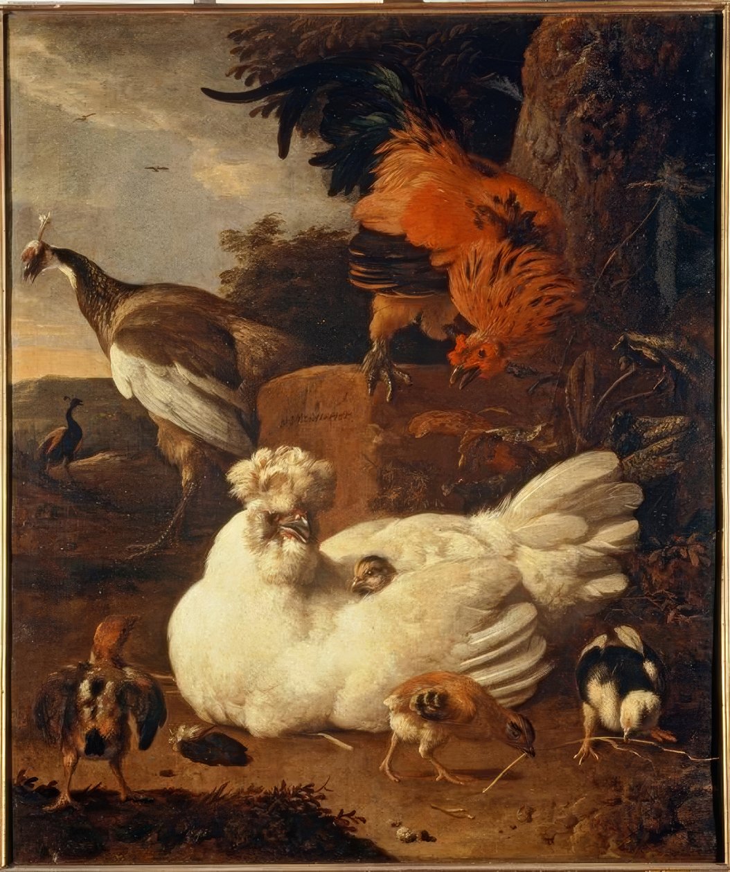 M. de Hondecoeter，有小鸡的婴儿 作者 Melchior de Hondecoeter
