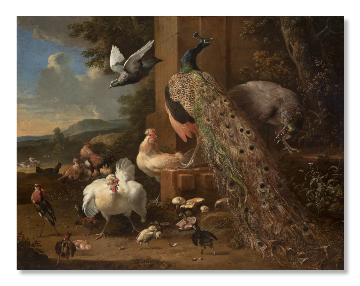 Menagerie，约1680年 作者 Melchior de Hondecoeter