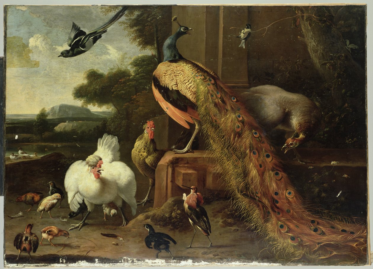 家禽政变中的反抗 作者 Melchior de Hondecoeter