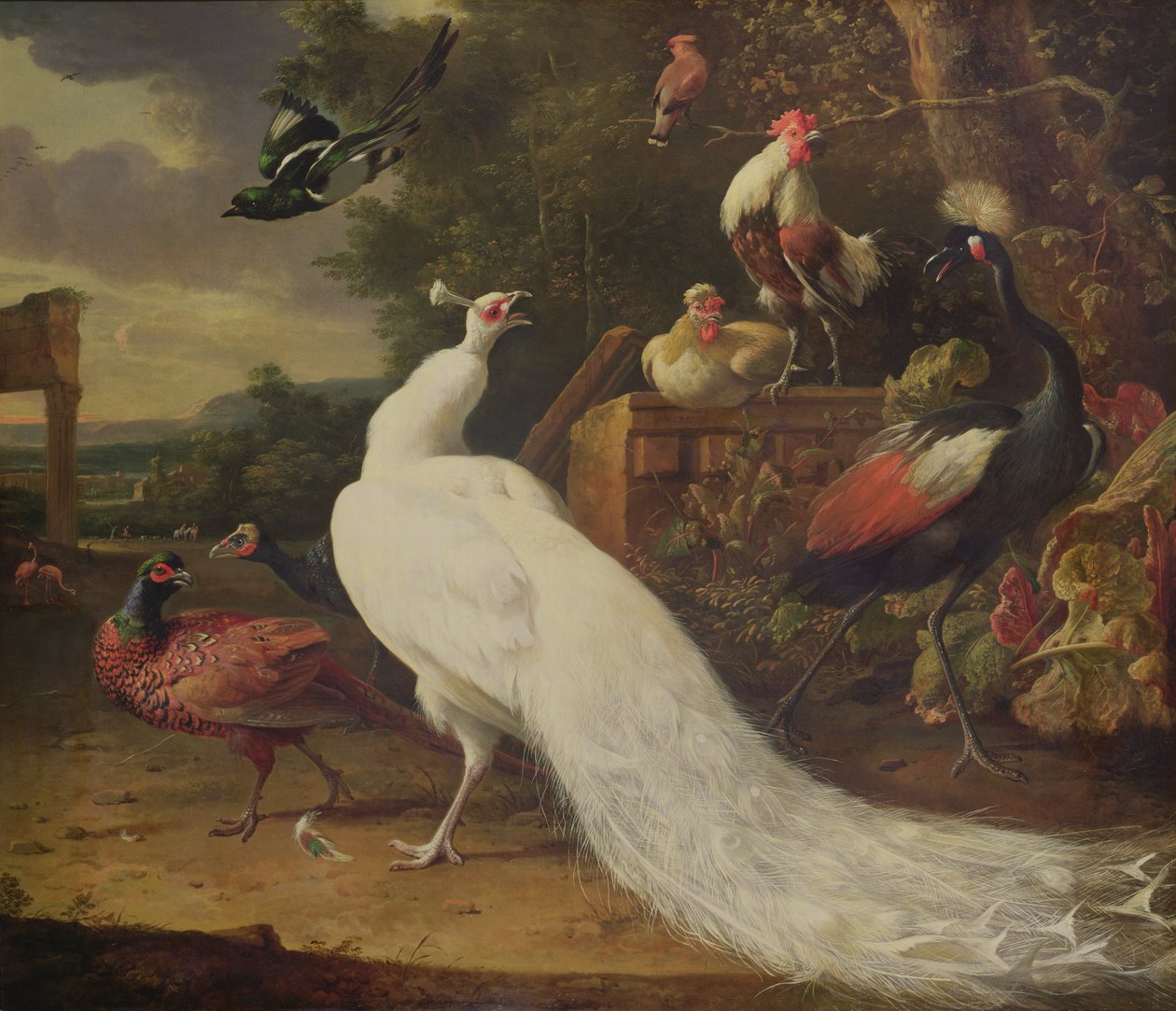 白孔雀 作者 Melchior de Hondecoeter
