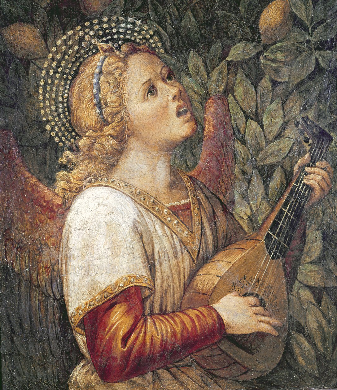 天使音乐家 作者 Melozzo da Forli