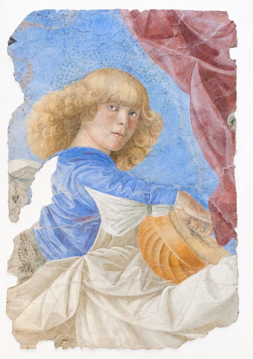 音乐天使，约 1480 年（壁画） 作者 Melozzo da Forli