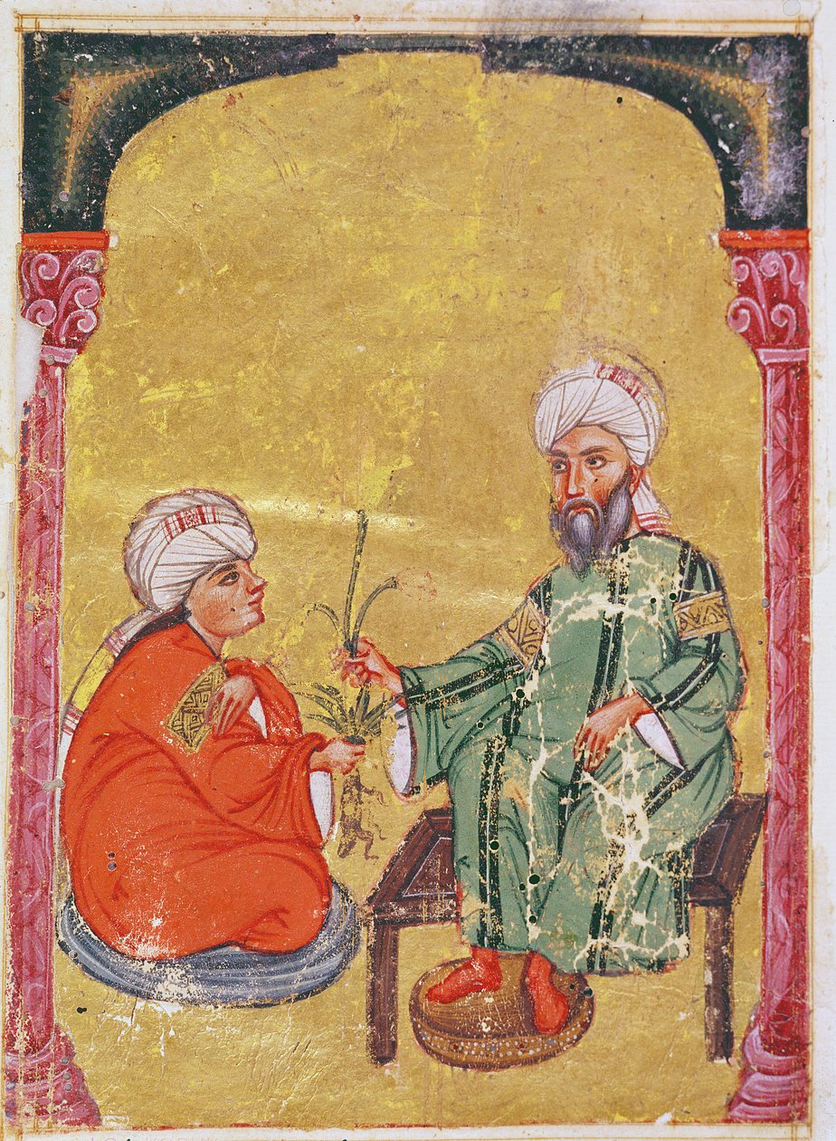 Ahmet III，2127来自Dioscorides的&39;De Materia Medica&39;的插图 作者 美索不达米亚