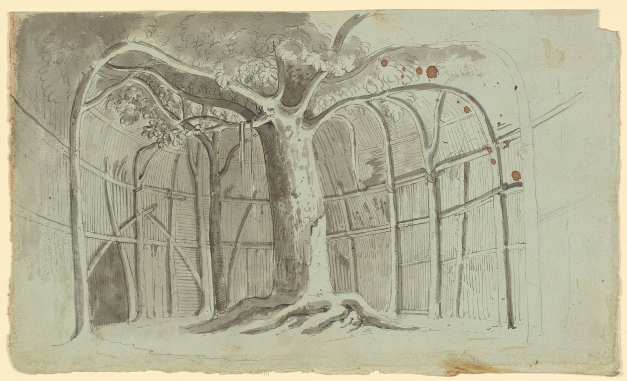 一棵树周围的粗糙小屋 作者 迈克尔·迈尔