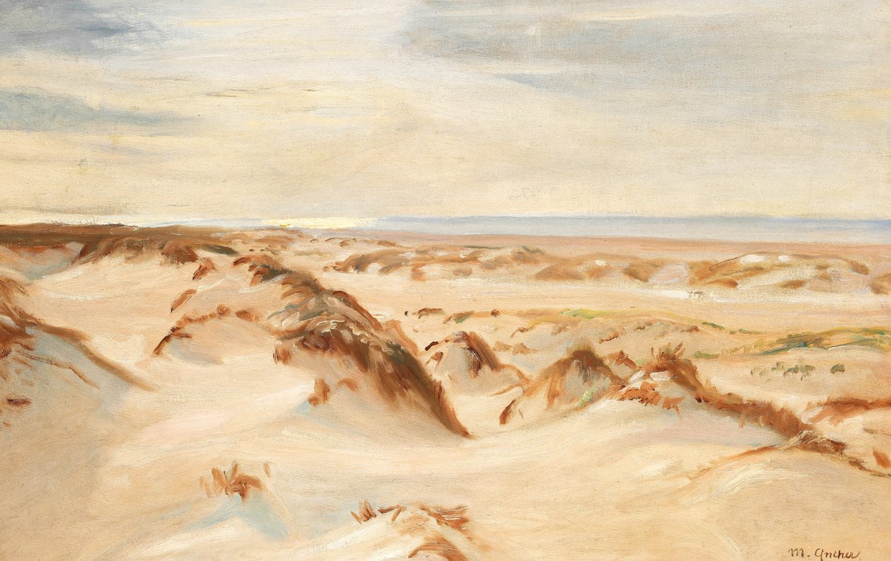 Dunes, Skagen. 作者 迈克尔·彼得·安彻