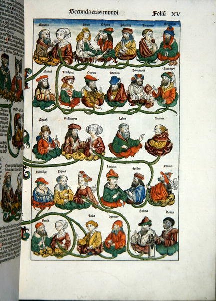 家谱树，摘自哈特曼-斯切德尔（1440-1514）的 "Liber Chronicarum"，1493年（彩色木刻）。 作者 Michael 和 Pleydenwurff W. Wolgemuth