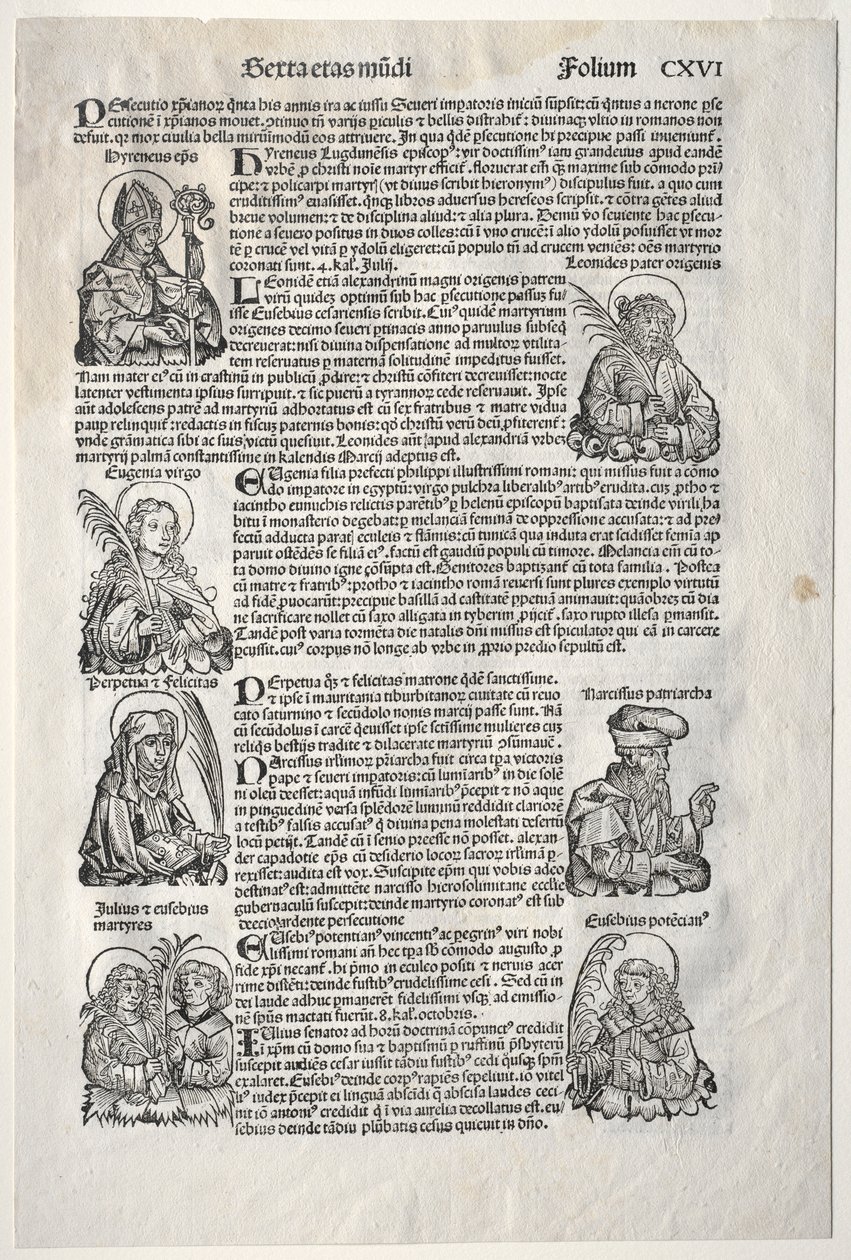 纽伦堡纪事报，1493年。 作者 迈克尔·沃尔吉姆特
