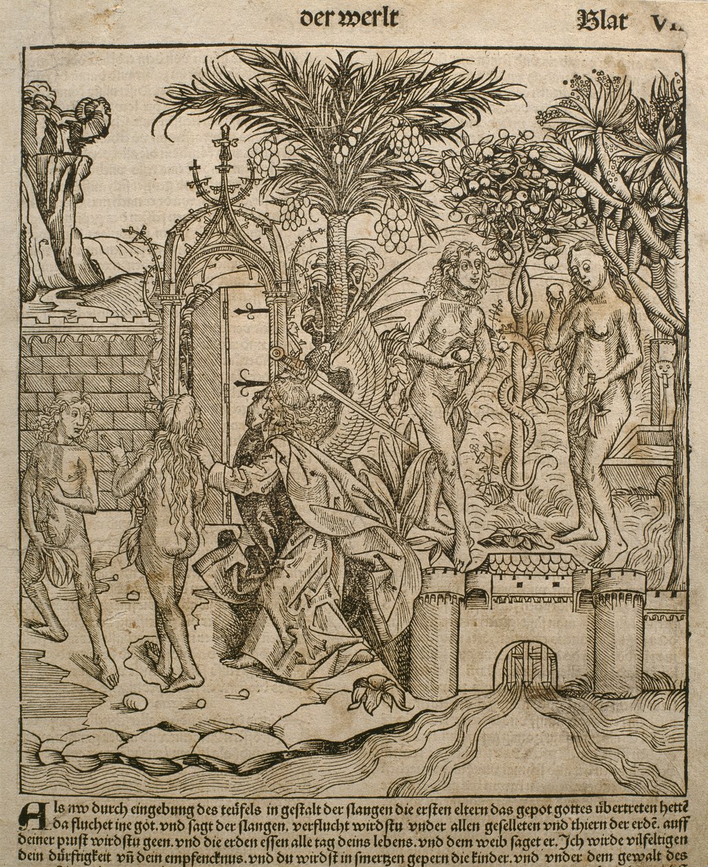 亚当和夏娃，来自Hartmann Schedel（1440-1514）的&39;Liber Chronicarum&39;的插图，于1493年在纽伦堡出版 作者 迈克尔·普莱登伍夫（W. Wolgemuth）