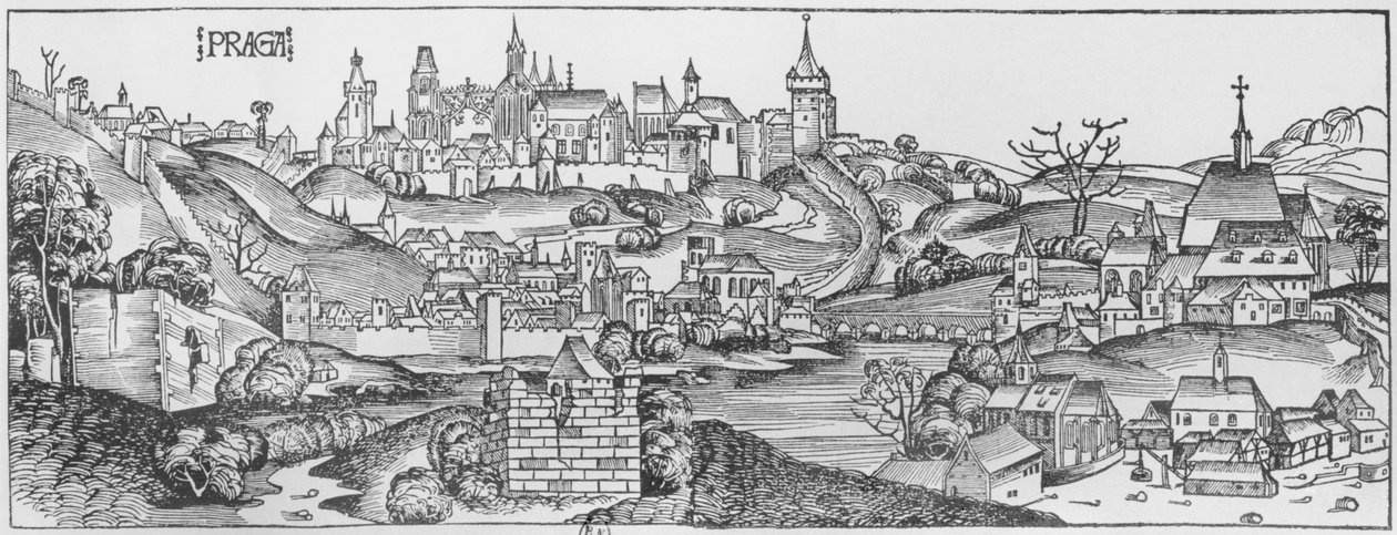 布拉格的视图，来自&39;Liber Chronicarum&39;的插图，由Hartmann Schedel（1440-1514）于1493年在纽伦堡出版 作者 迈克尔·普莱登伍夫（W. Wolgemuth）