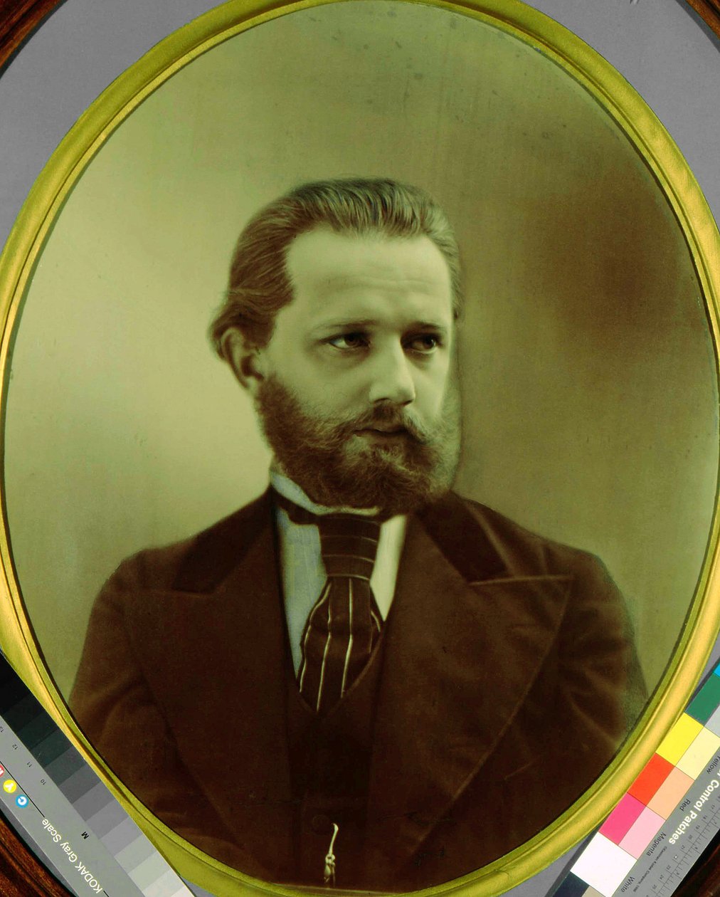 作曲家 Piotr Tchaikovsky（Pyotr Petr Ilitch Tchaikovski）（柴科夫斯基）（1840-1893 年）的肖像。摄影师：米哈伊尔-米哈伊洛维奇-帕诺夫（1836-1894 年）。国家 P.I.克林柴可夫斯基纪念博物馆 作者 米哈伊尔·米哈伊洛维奇·帕诺夫