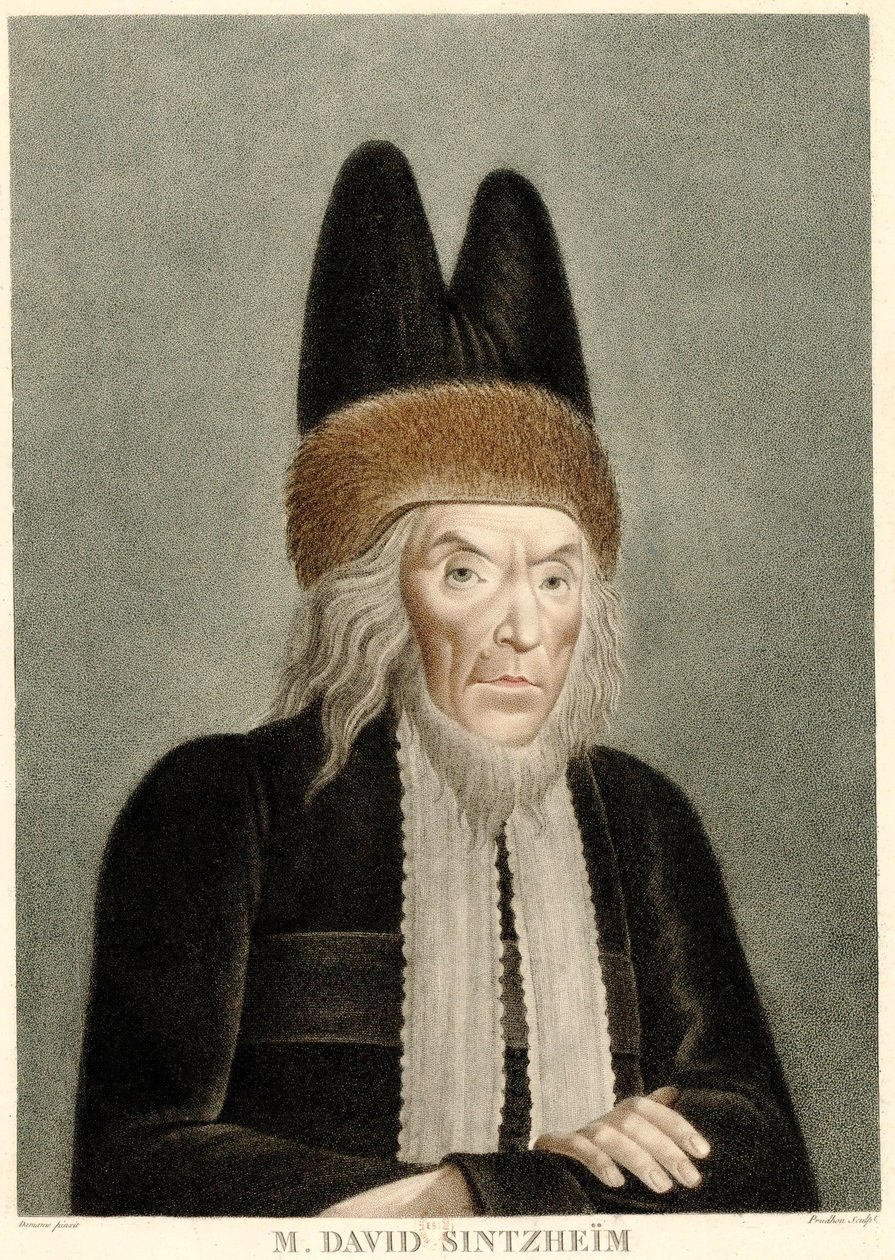 大卫·辛茨海姆（David Sintzheim）的肖像1745-1812，1800年代。 作者 米歇尔·弗朗索瓦·达玛梅·德玛特拉斯