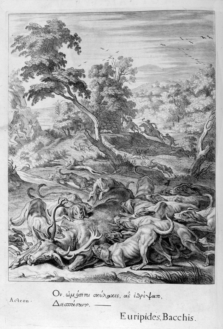 Actaeon变成一只鹿，被他的猎犬吞噬，1655年 作者 米歇尔·德·马洛雷斯