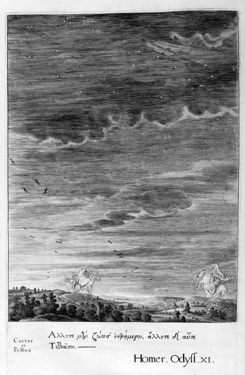 Castor and Pollux，1655年 作者 米歇尔·德·马洛雷斯