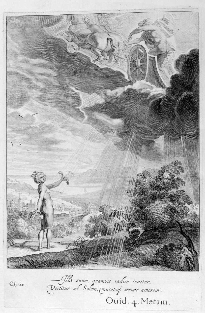 克莱蒂（Clytie）变成了向日葵，1655年 作者 米歇尔·德·马洛雷斯