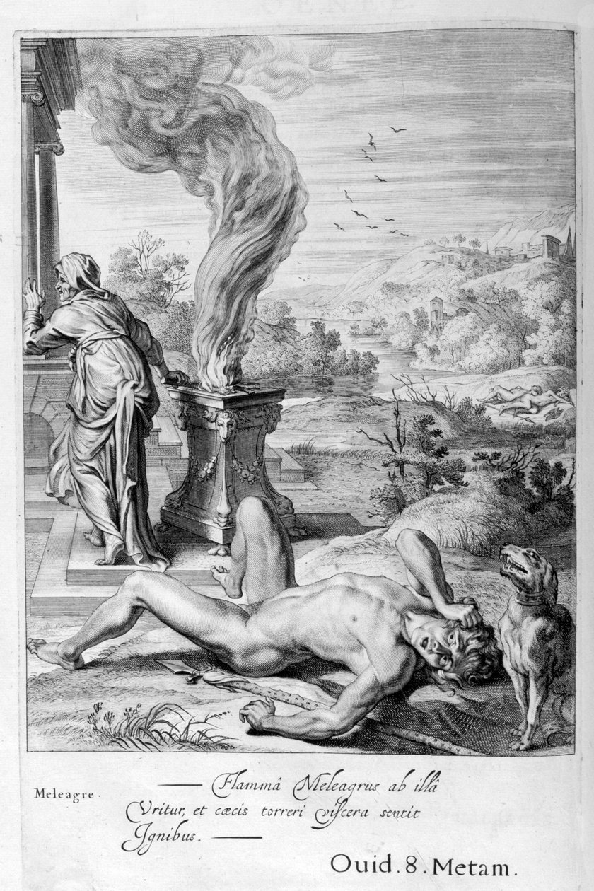迈勒格（Meleager），1655年 作者 米歇尔·德·马洛雷斯