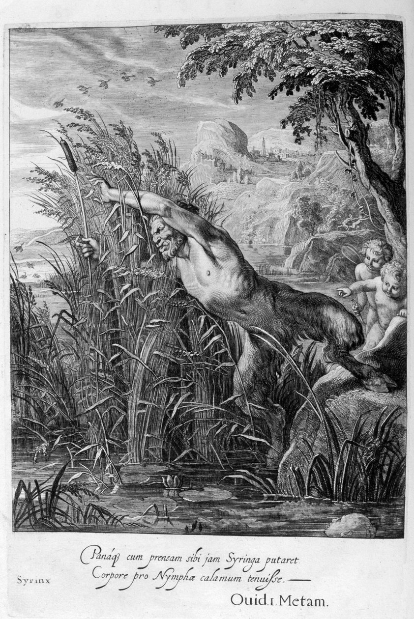 潘追捕Syrinx，后者被改造成芦苇，1665年 作者 米歇尔·德·马洛雷斯