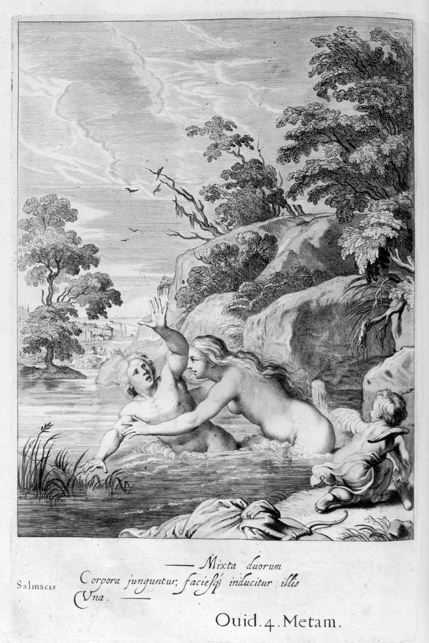 若虫Salmacis和Hermaphroditus，1655年 作者 米歇尔·德·马洛雷斯