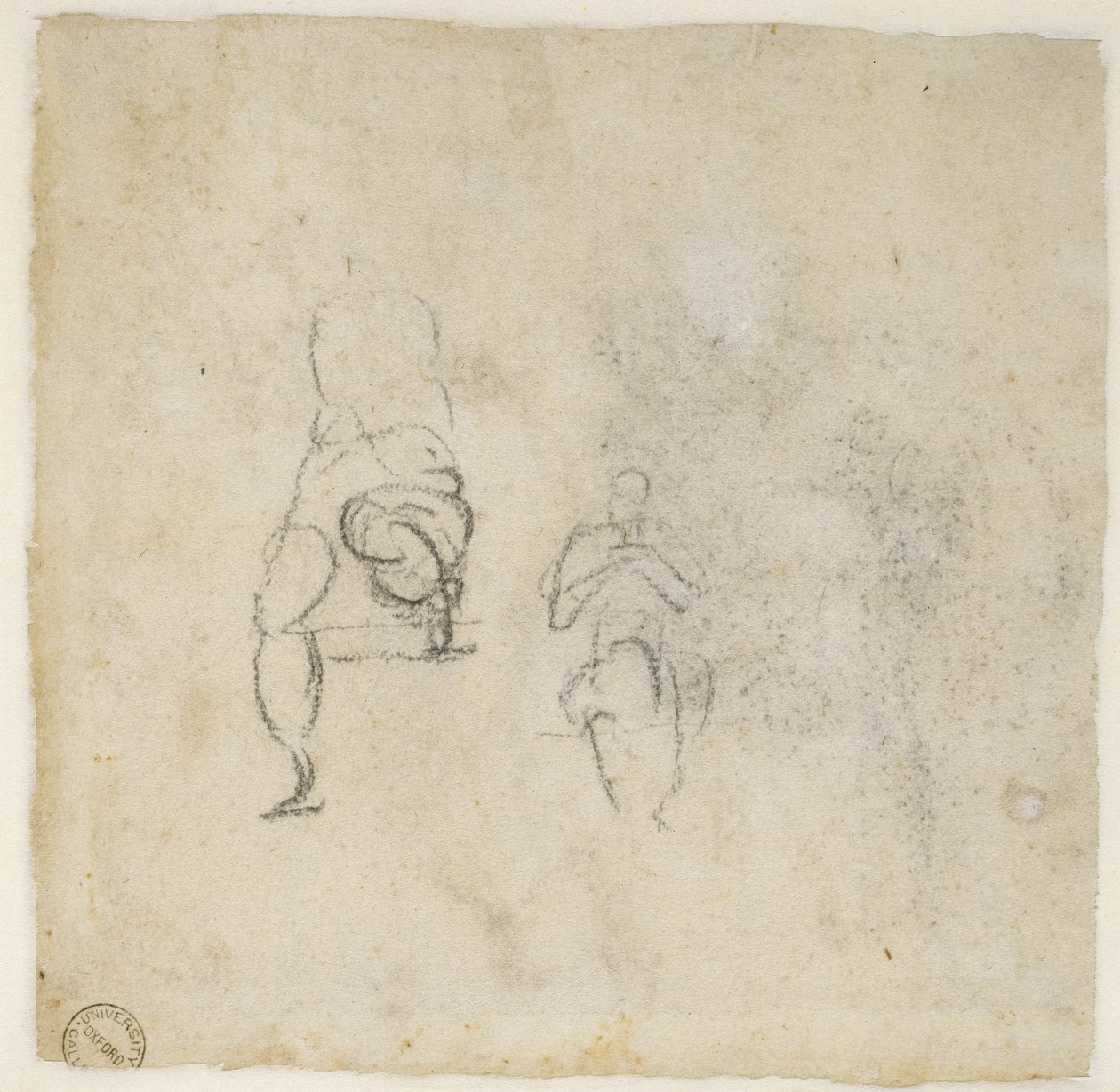 图研究，c.1511（纸上的黑色粉笔） 作者 米开朗基罗（Michelangelo Buonarroti）