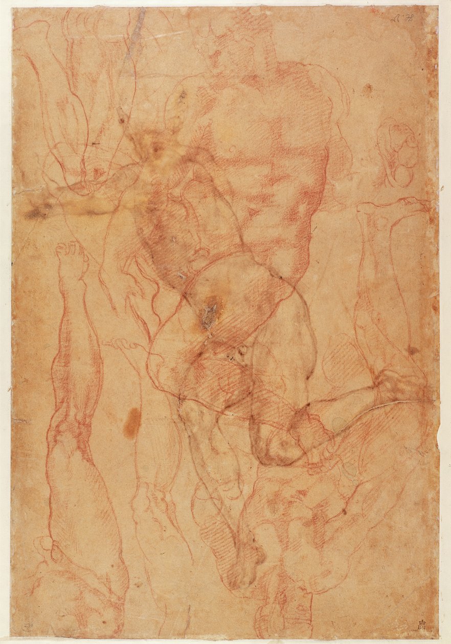 图研究（纸上的红色粉笔） 作者 米开朗基罗（Michelangelo Buonarroti）