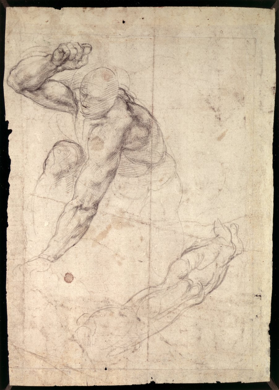 男性人物研究 作者 米开朗基罗（Michelangelo Buonarroti）