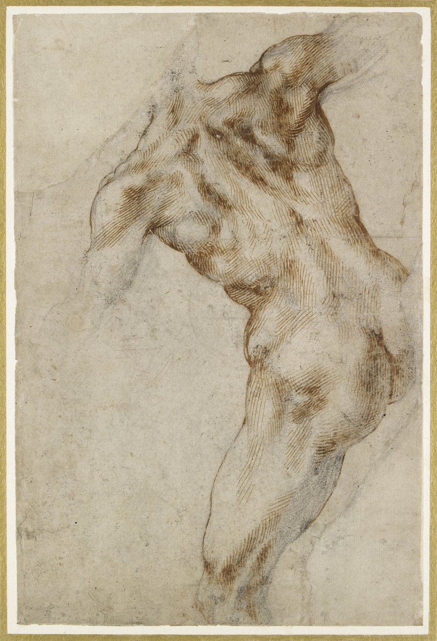 裸体男性躯干 作者 米开朗基罗（Michelangelo Buonarroti）