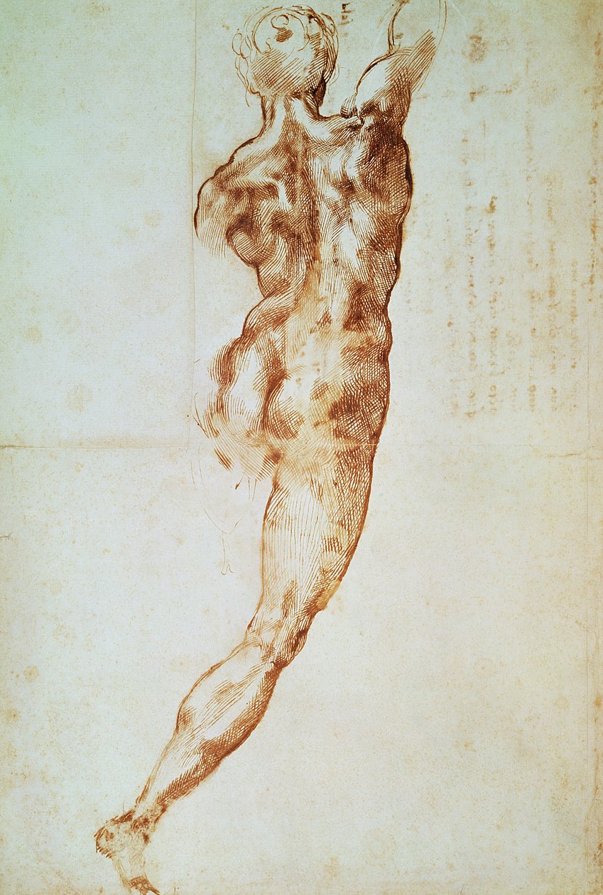 裸体，卡西娜之战的研究（纸上的红色粉笔） 作者 米开朗基罗（Michelangelo Buonarroti）