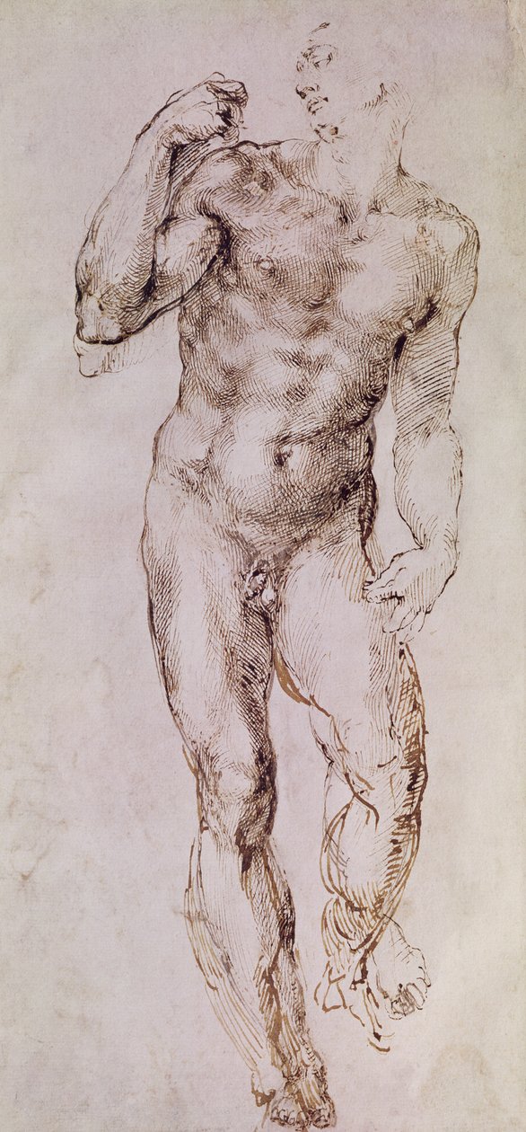 大卫与他的吊索的素描，1503-4 作者 米开朗基罗（Michelangelo Buonarroti）