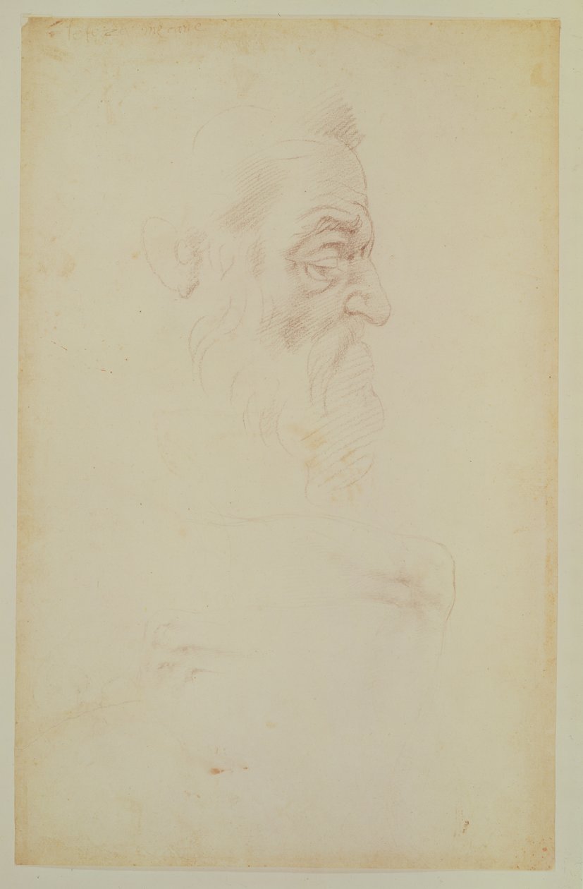 男性头部和两条腿的草图（木炭在纸上） 作者 米开朗基罗（Michelangelo Buonarroti）