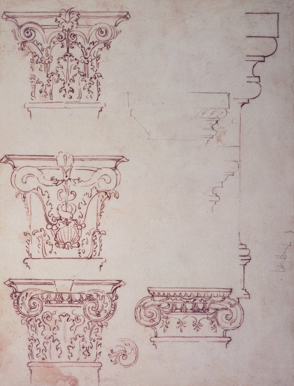 资本研究（棕色墨水） 作者 米开朗基罗（Michelangelo Buonarroti）