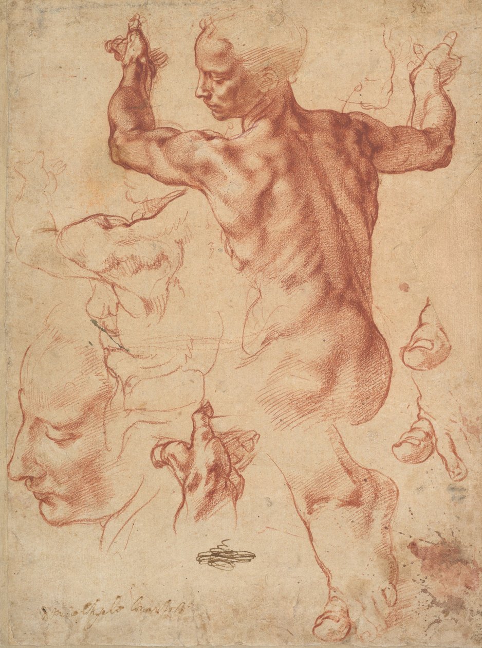 研究利比亚Sibyl（正面），c.1510-11（纸上的红色粉笔） 作者 米开朗基罗（Michelangelo Buonarroti）