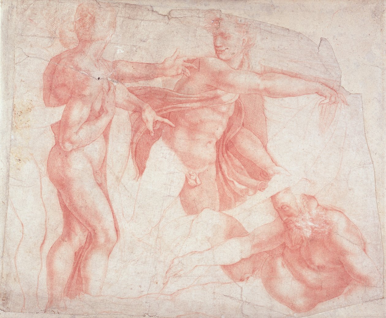 男性裸体研究 作者 米开朗基罗（Michelangelo Buonarroti）