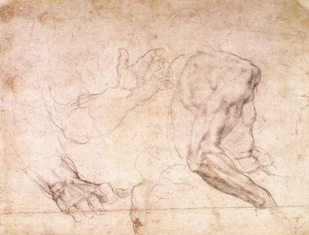 手和手臂的研究（纸上的黑色粉笔）（反面） 作者 米开朗基罗（Michelangelo Buonarroti）