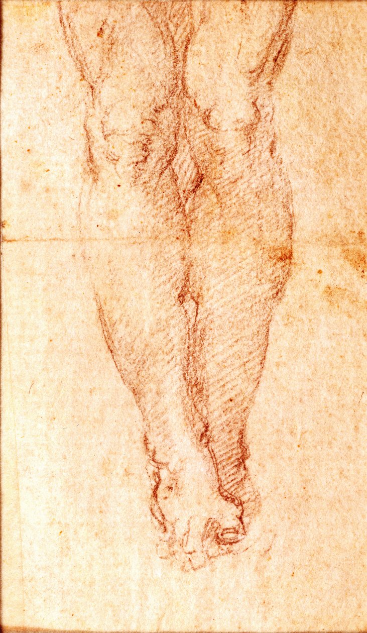 研究钉十字架（纸上的黑色粉笔） 作者 米开朗基罗（Michelangelo Buonarroti）