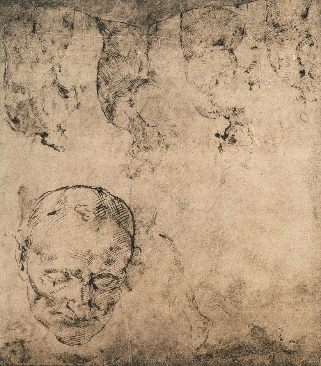 研究头;米开朗基罗画的。 Casa Buonarroti，佛罗伦萨 作者 米开朗基罗（Michelangelo Buonarroti）