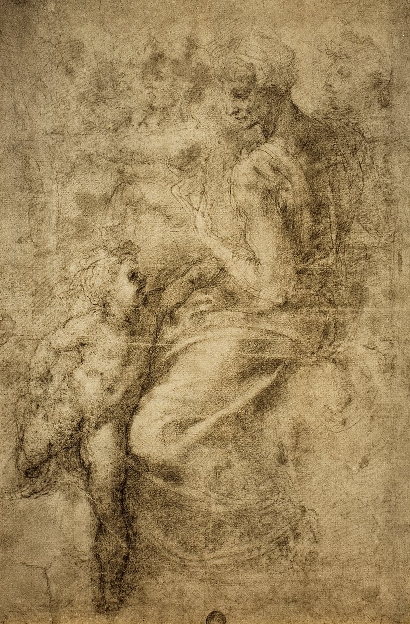研究西斯廷教堂的sibyl;米开朗基罗画的。 Gallerie dellAccademia，威尼斯 作者 米开朗基罗（Michelangelo Buonarroti）