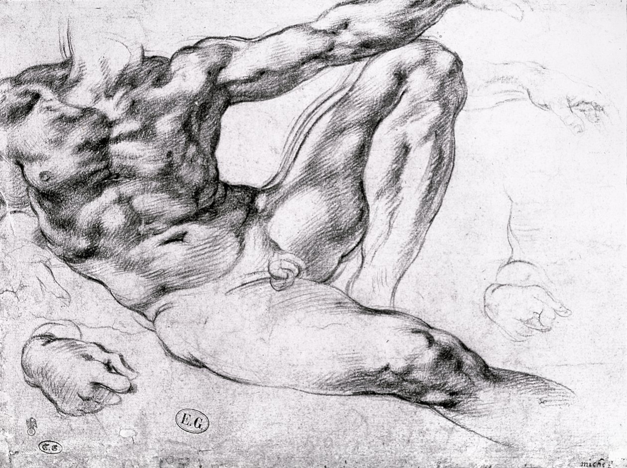 研究亚当的创造 作者 米开朗基罗（Michelangelo Buonarroti）