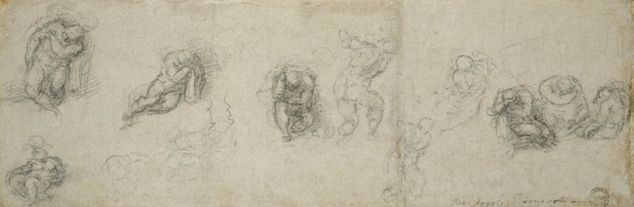 使徒的研究，c.1550-55（纸上的黑色粉笔） 作者 米开朗基罗（Michelangelo Buonarroti）