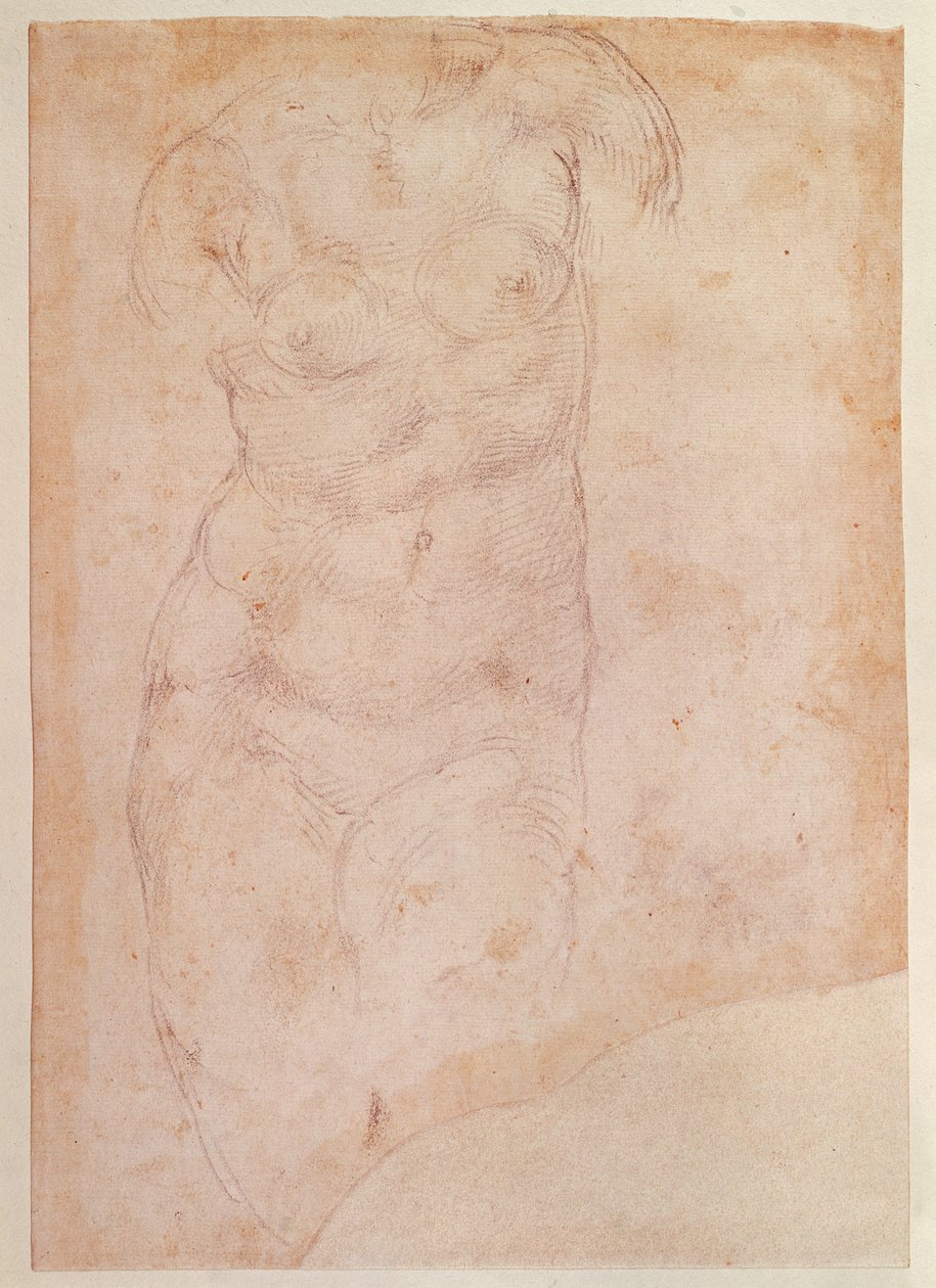 女性裸体研究 作者 米开朗基罗（Michelangelo Buonarroti）