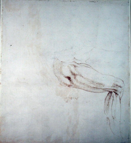 用笔记研究腿（纸上的棕色墨水）（正面） 作者 米开朗基罗（Michelangelo Buonarroti）