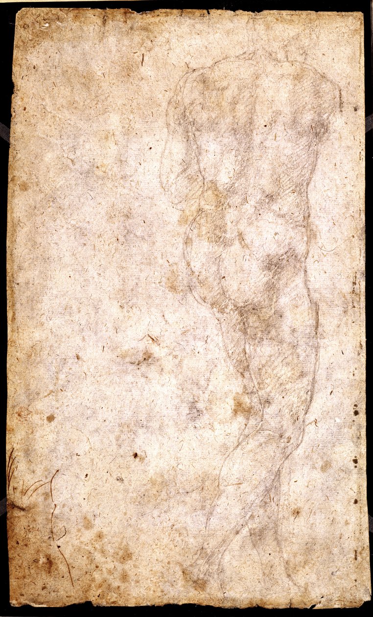 男性裸体研究 作者 米开朗基罗（Michelangelo Buonarroti）