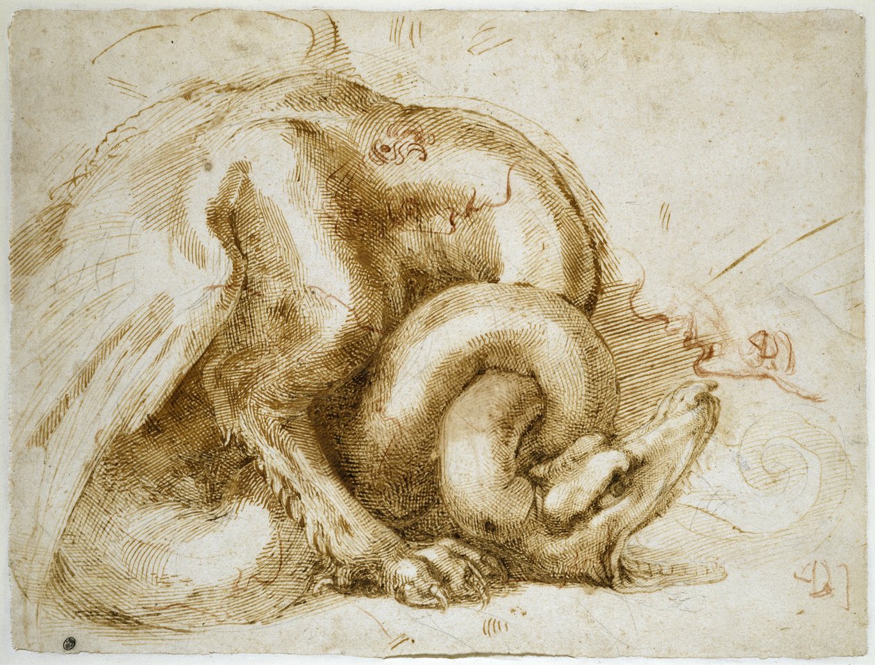 有翅膀的怪物的研究，c.1525（纸上的红色和黑色粉笔） 作者 米开朗基罗（Michelangelo Buonarroti）